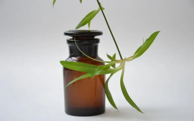 comment fonctionne l'aromatherapie ?