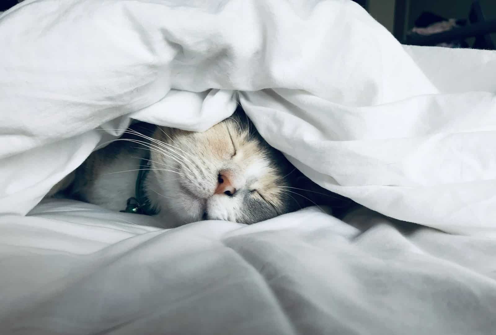 Routine du soir pour mieux dormir et decompresser